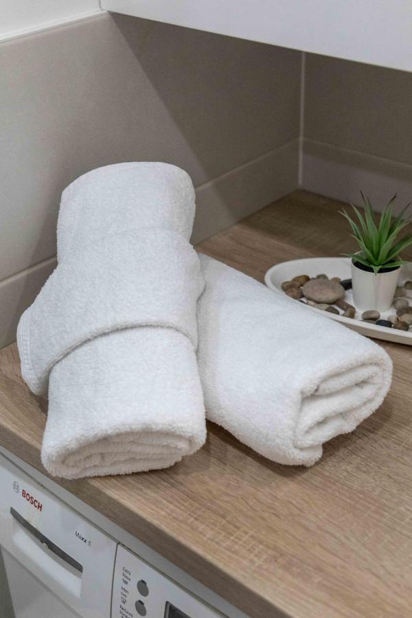 Spacious Apartment In Radnicka Business Zone - Free Parking Zagreb Exteriör bild